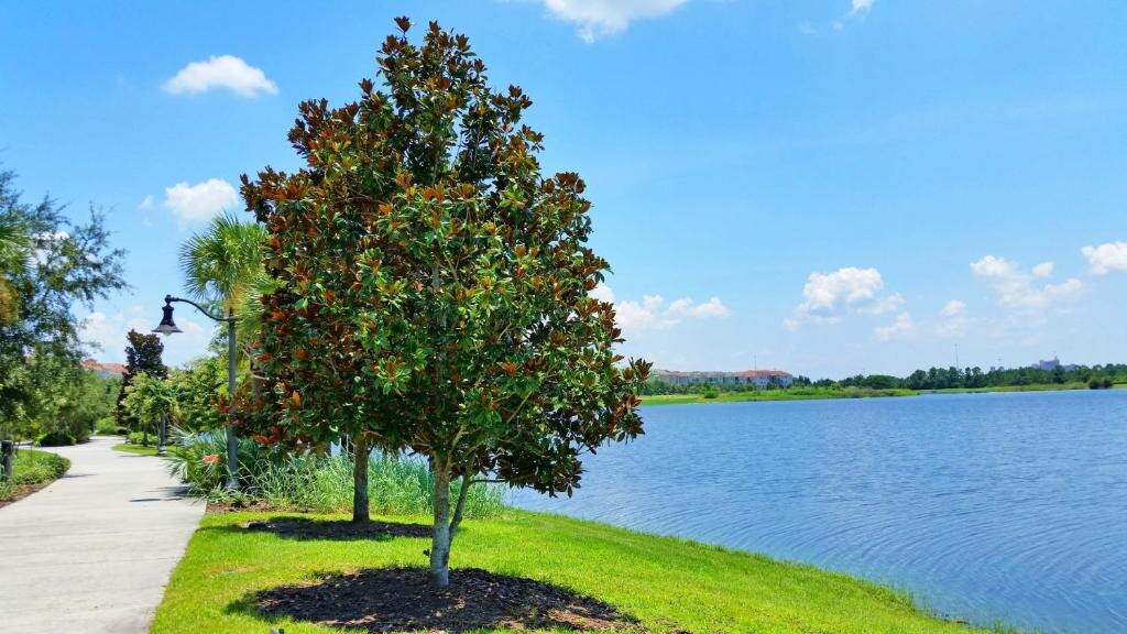 4102 Orlando Getaway 3bd 2ba Apt 409 - Image 31