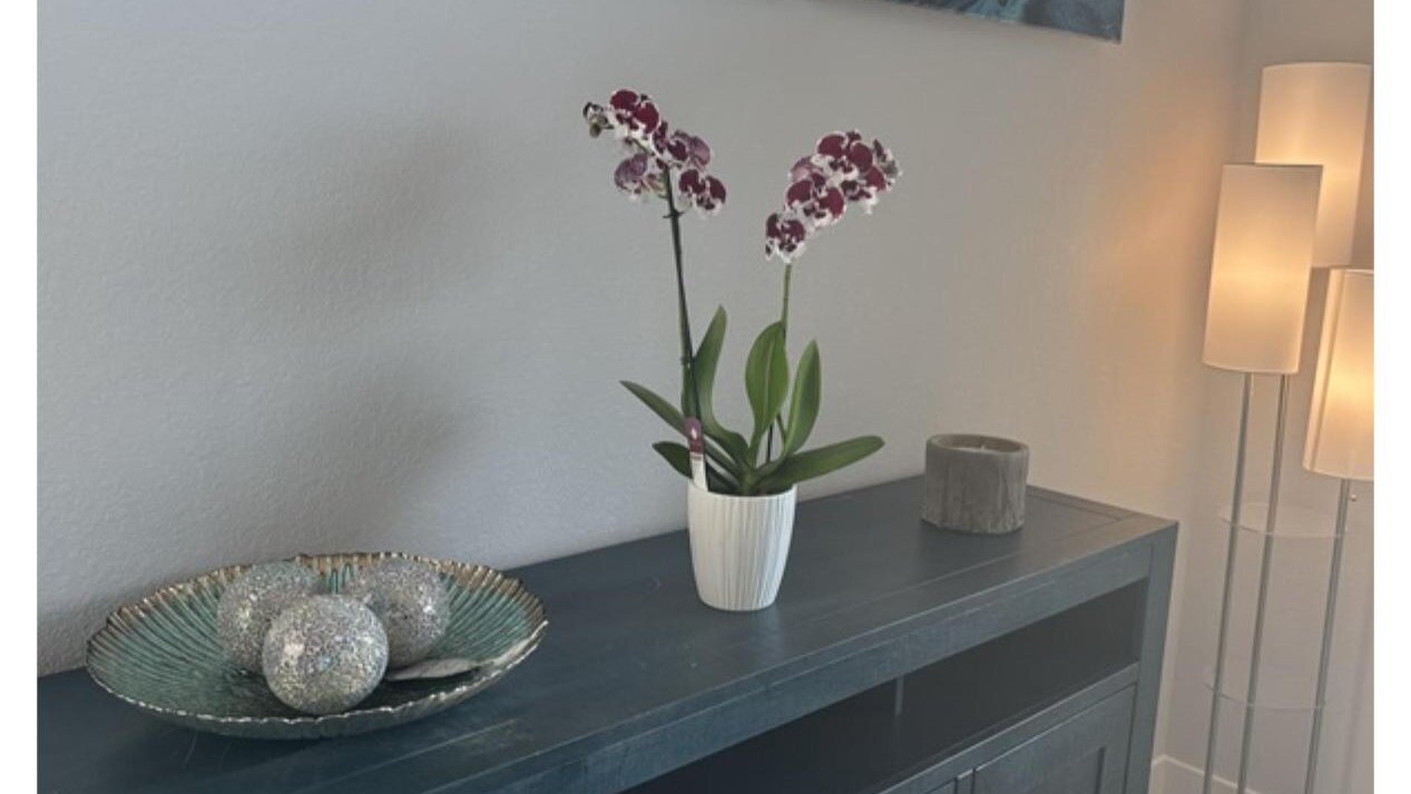 Sandi Villa - Image 3